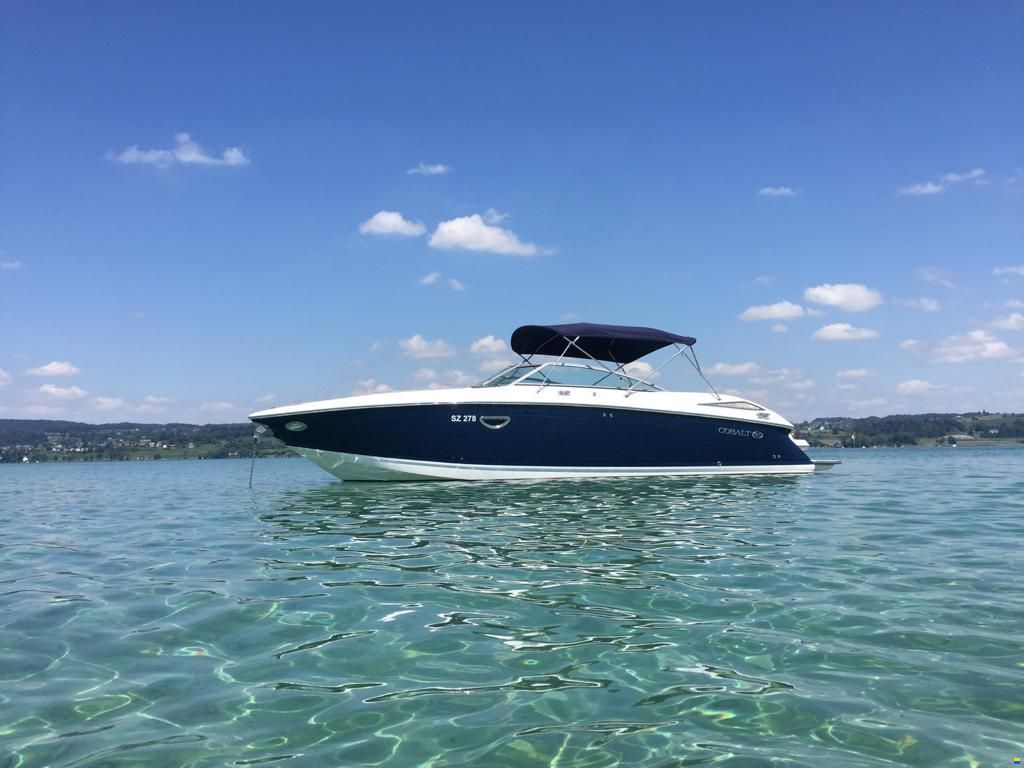 Cobalt 302