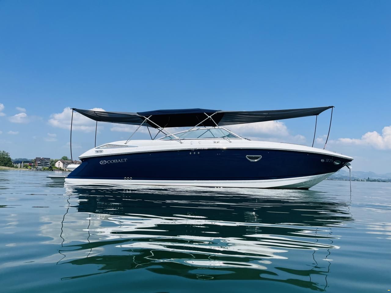 Cobalt 302