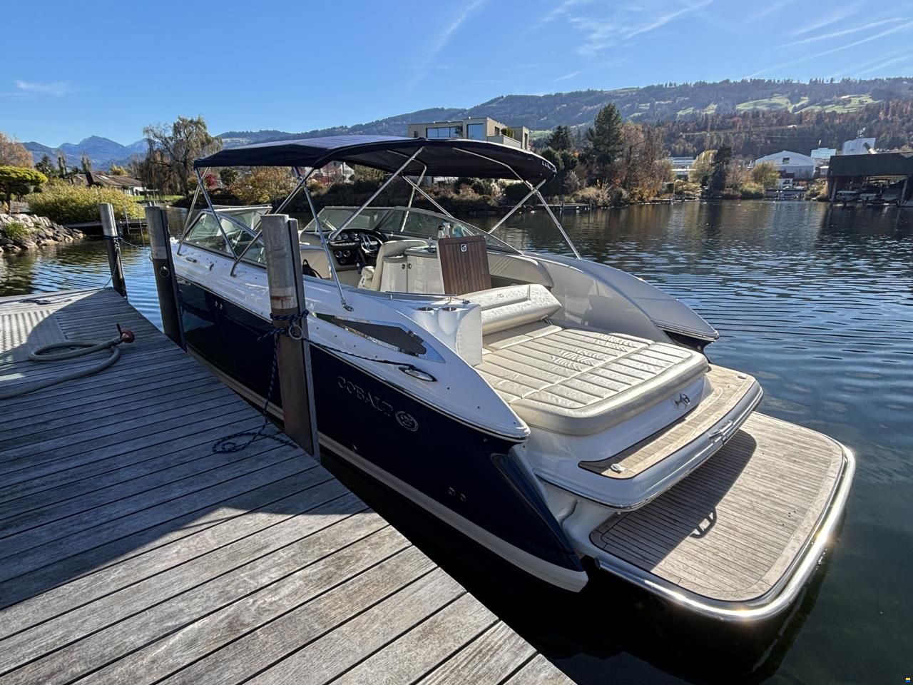 Cobalt 302