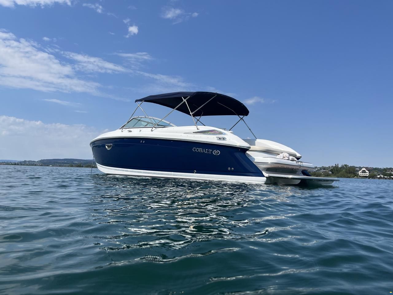 Cobalt 302