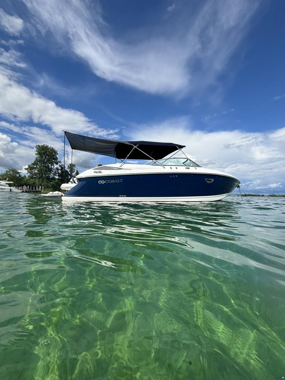 Cobalt 302