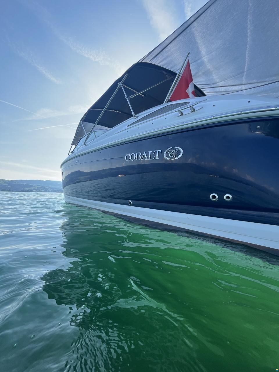 Cobalt 302