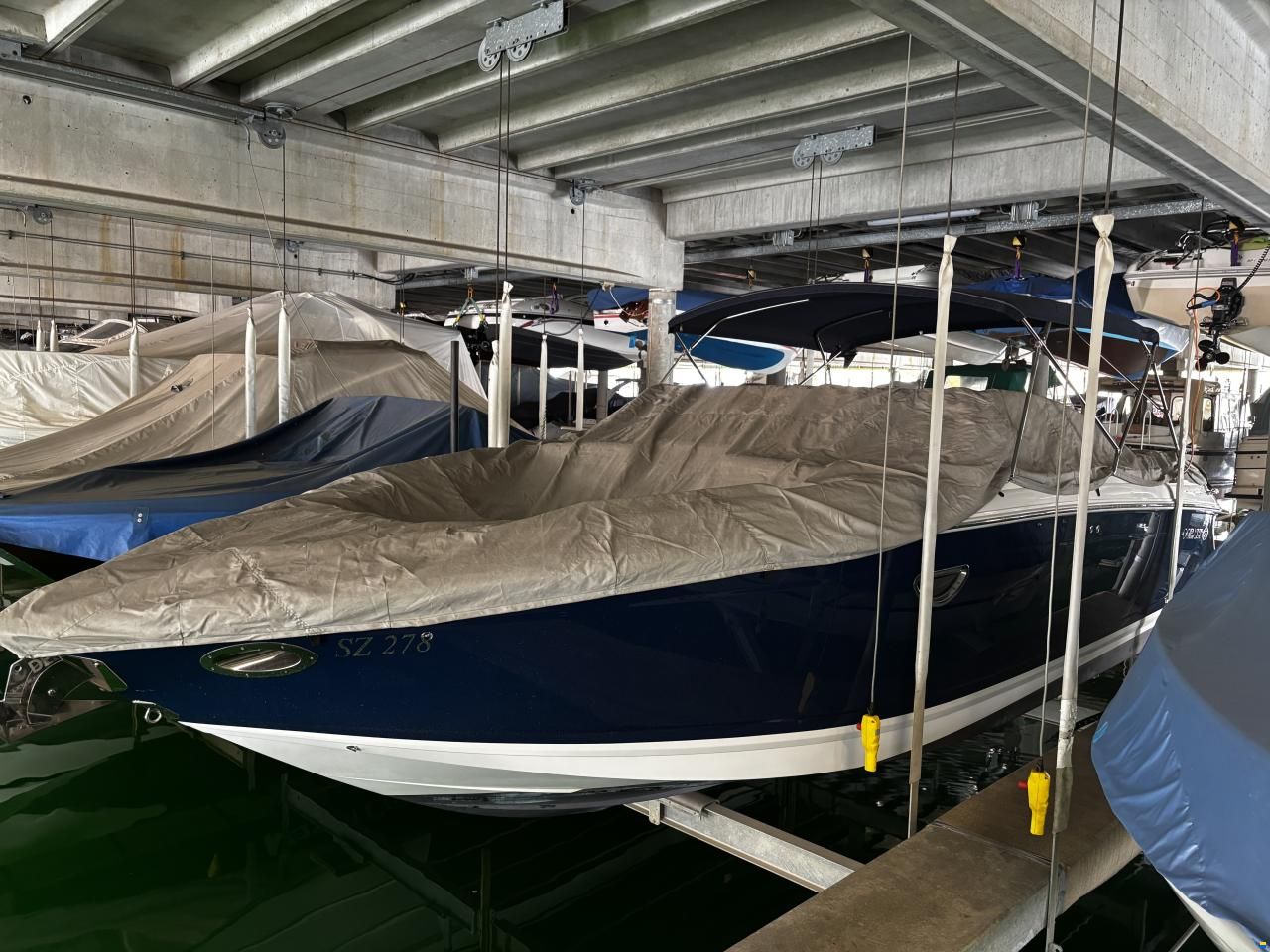Cobalt 302