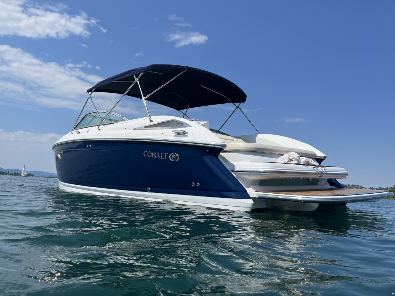 Cobalt 302
