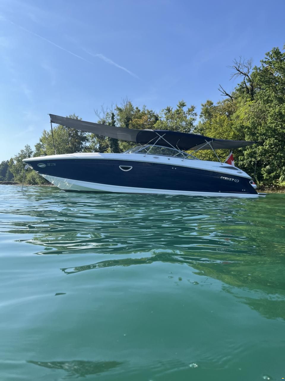 Cobalt 302