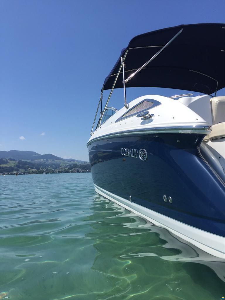 Cobalt 302
