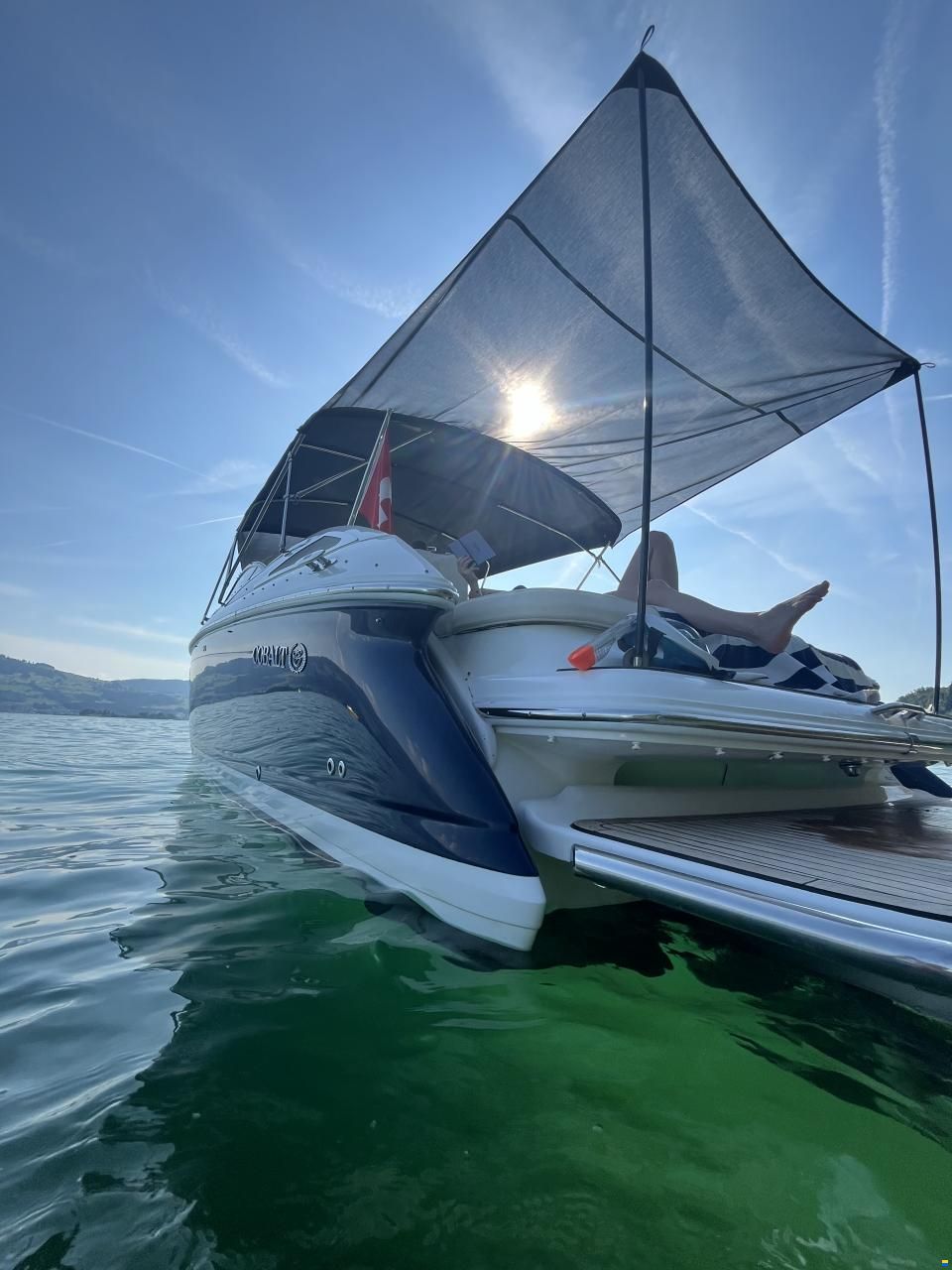 Cobalt 302