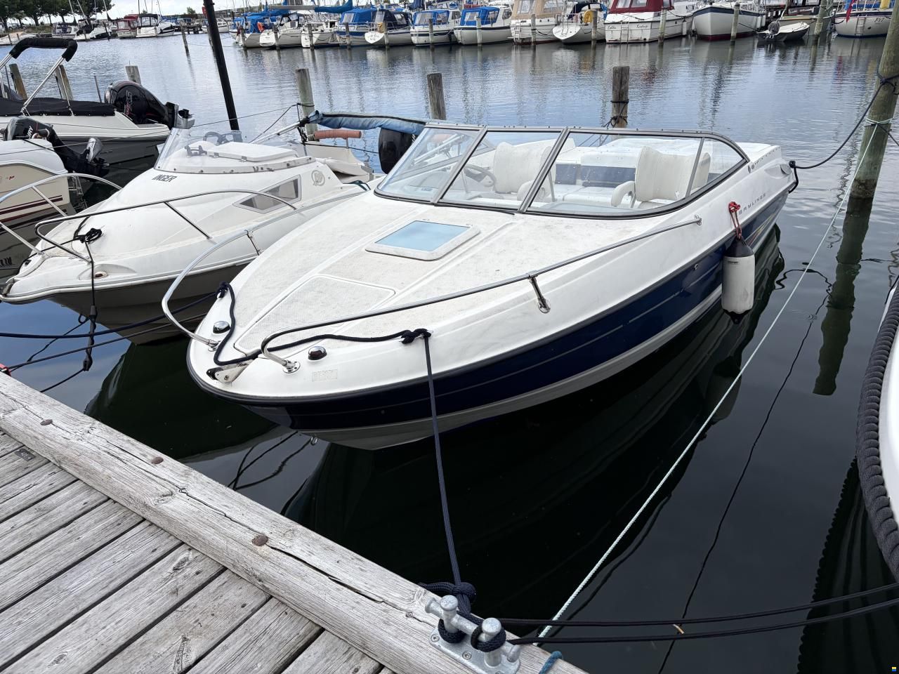 Bayliner 21 fod CADDY