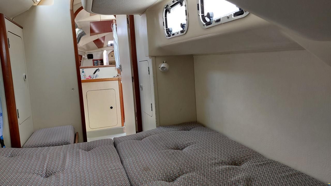 Dehler 38