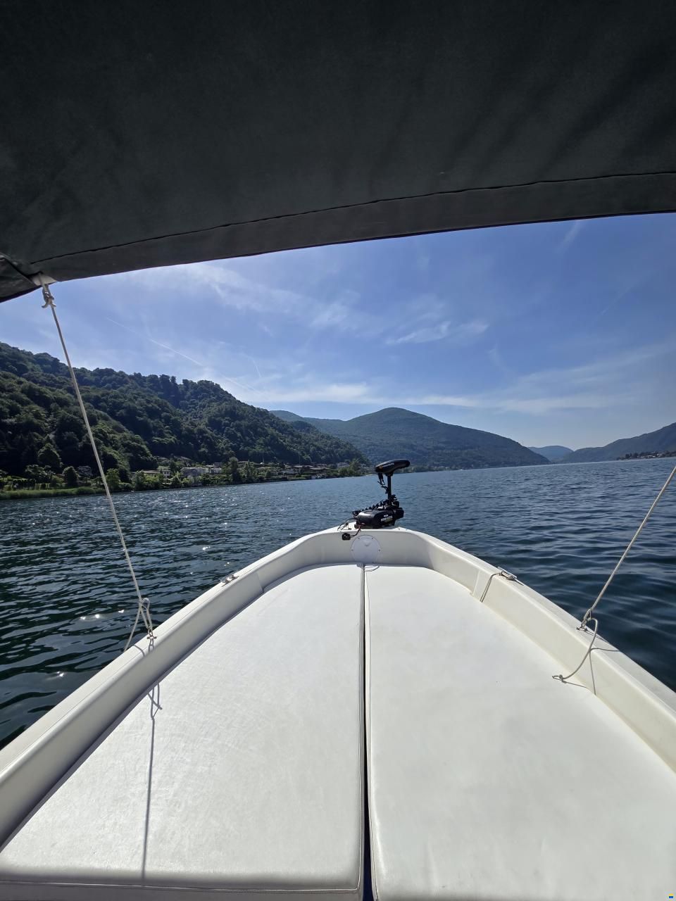 Quicksilver 440 Fisch