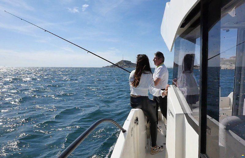 Quicksilver 805 PILOTHOUSE