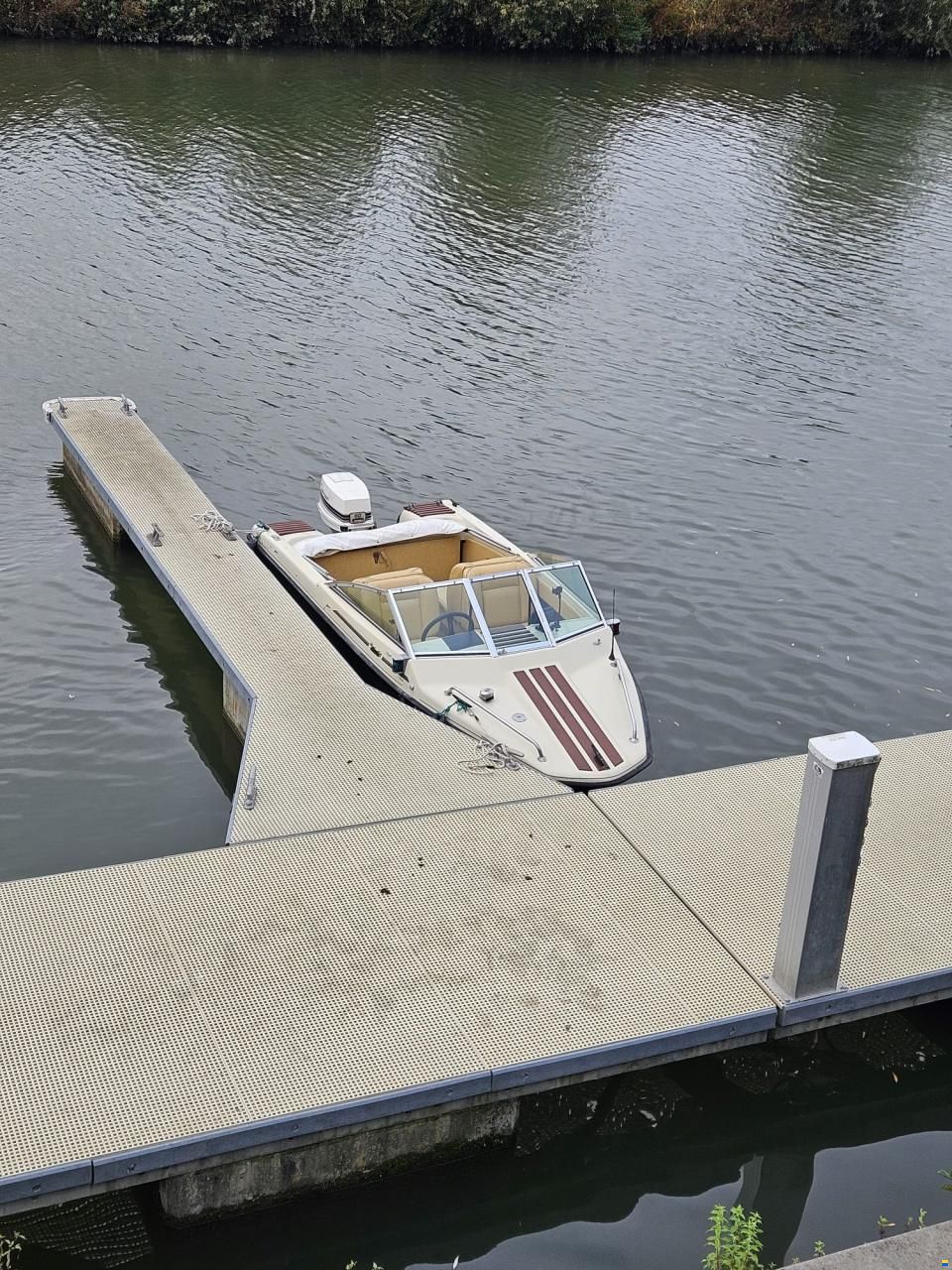 Hellwig Triton TS