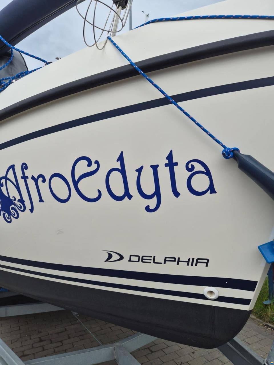 Delphia Nano