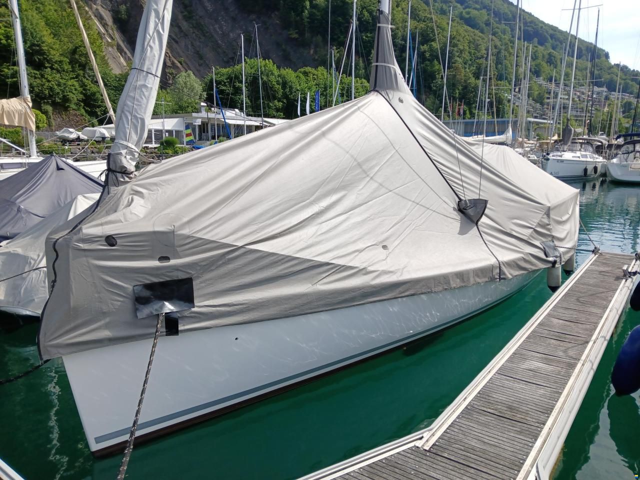 Archambault Grand Surprise