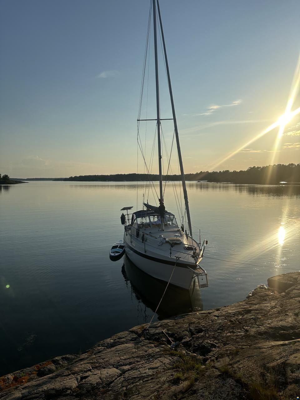 Albin 82 MS