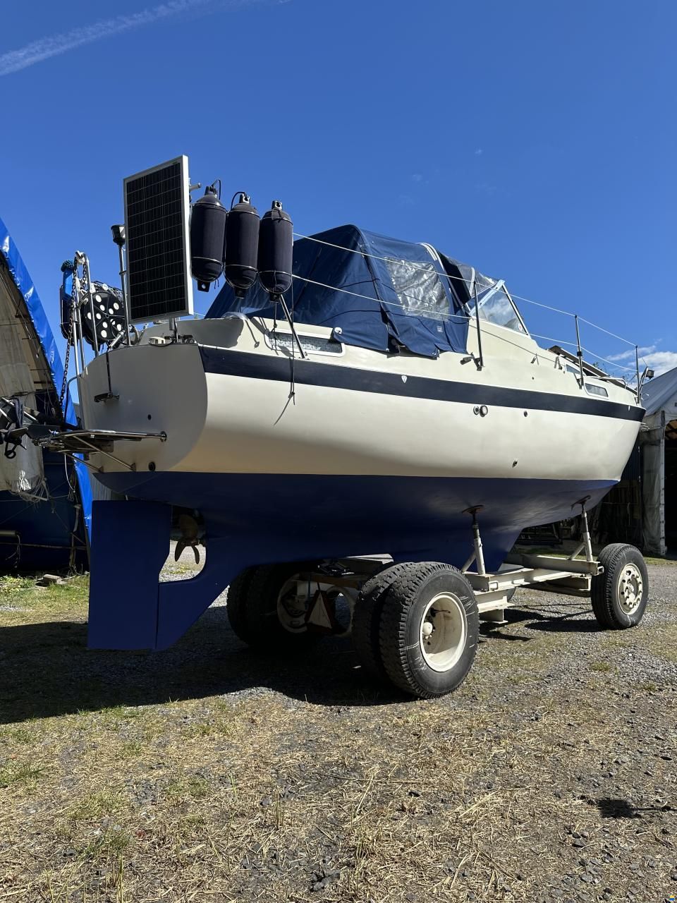 Albin 82 MS