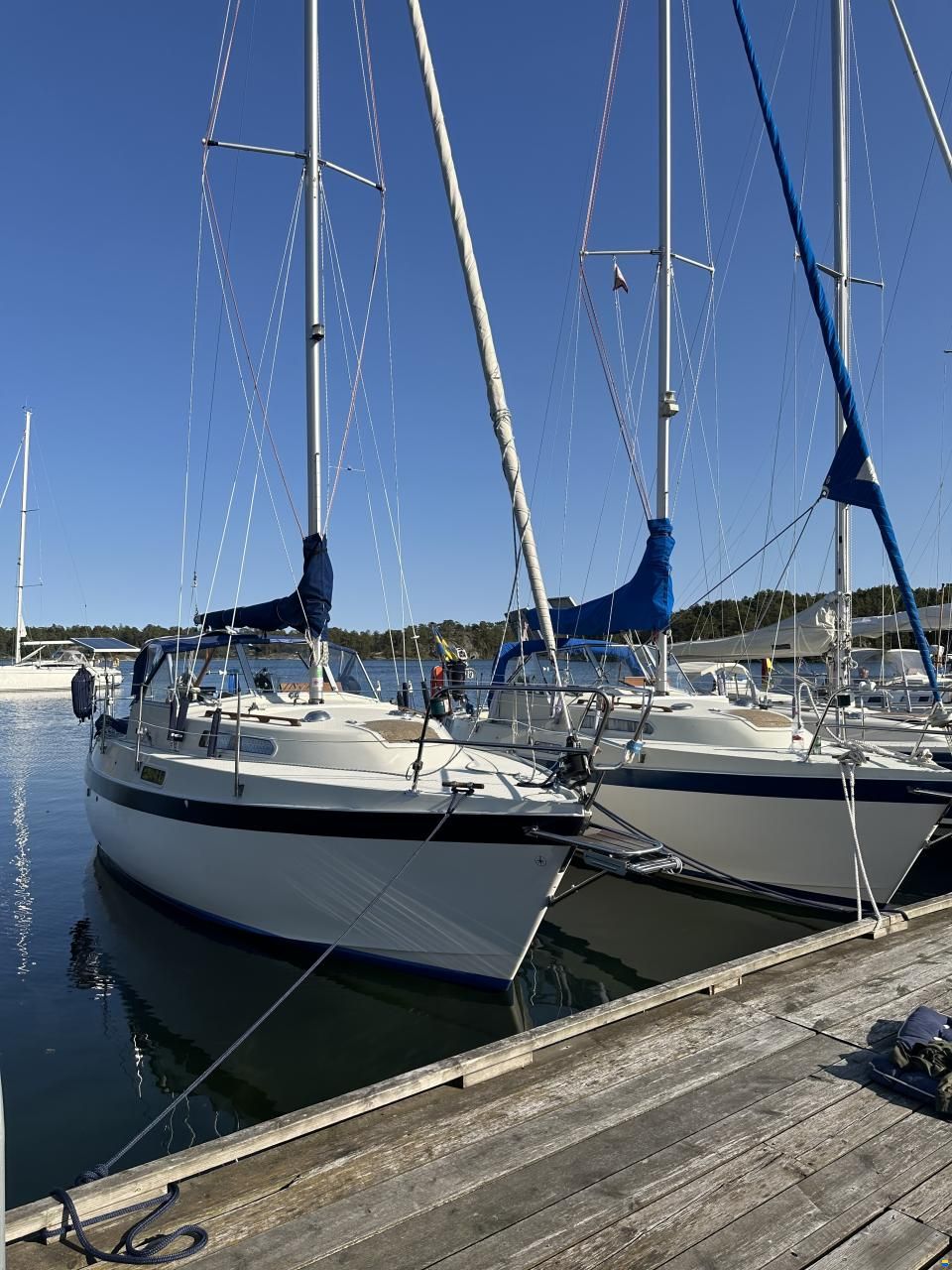 Albin 82 MS