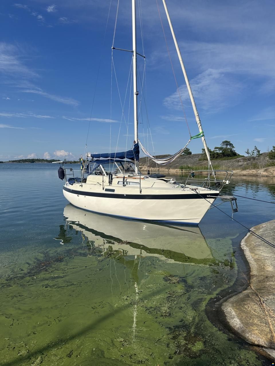 Albin 82 MS