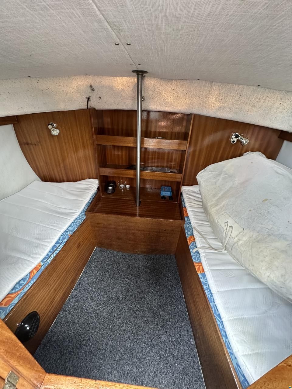 Albin 82 MS