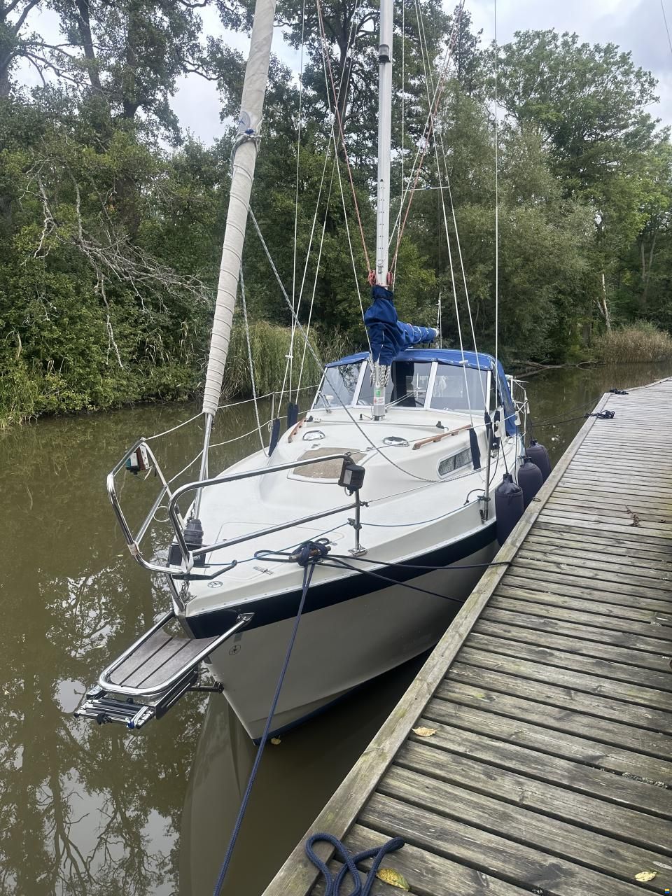 Albin 82 MS