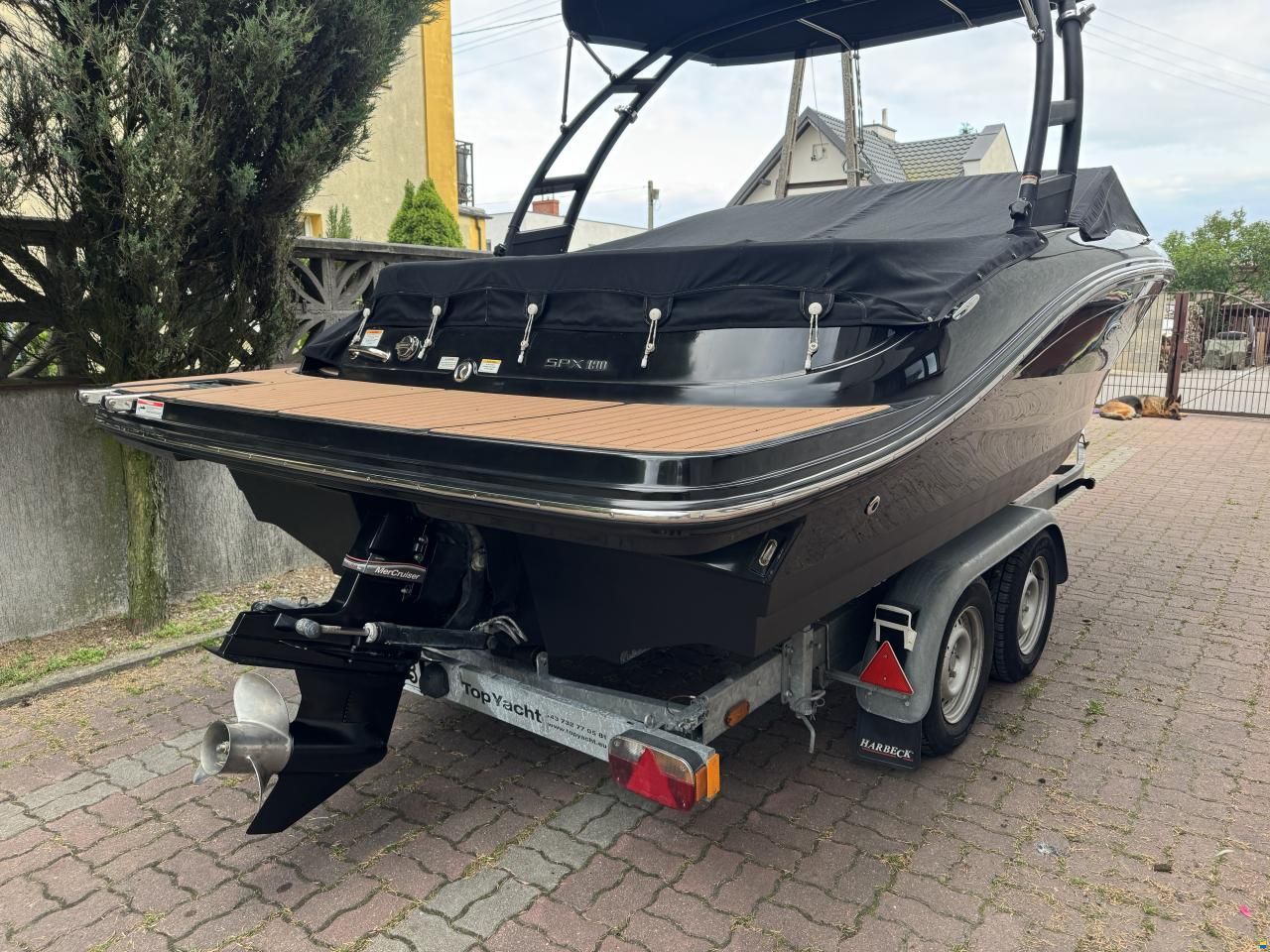 Sea Ray 190 SPX