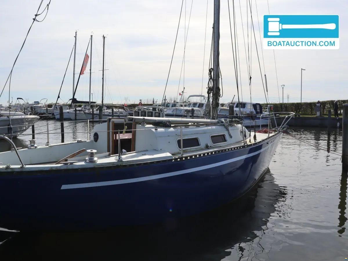Martin 29