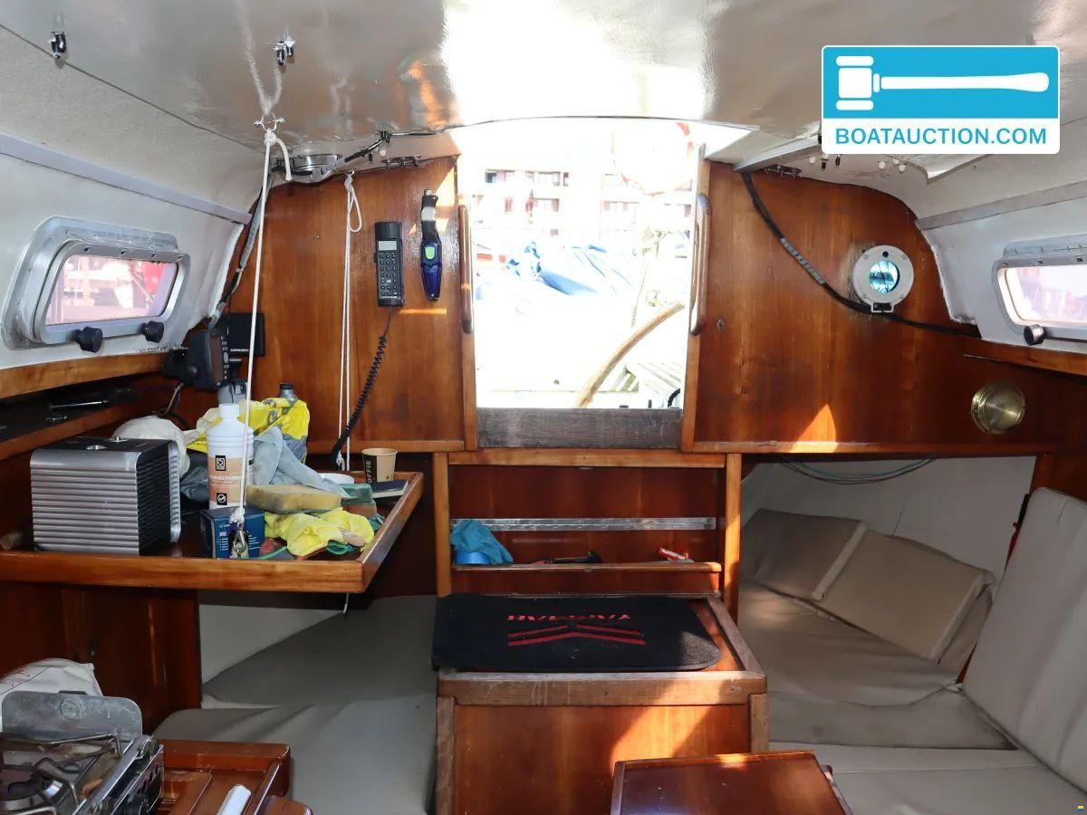 Martin 29