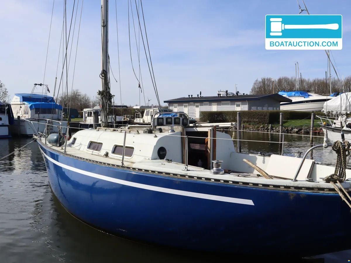 Martin 29