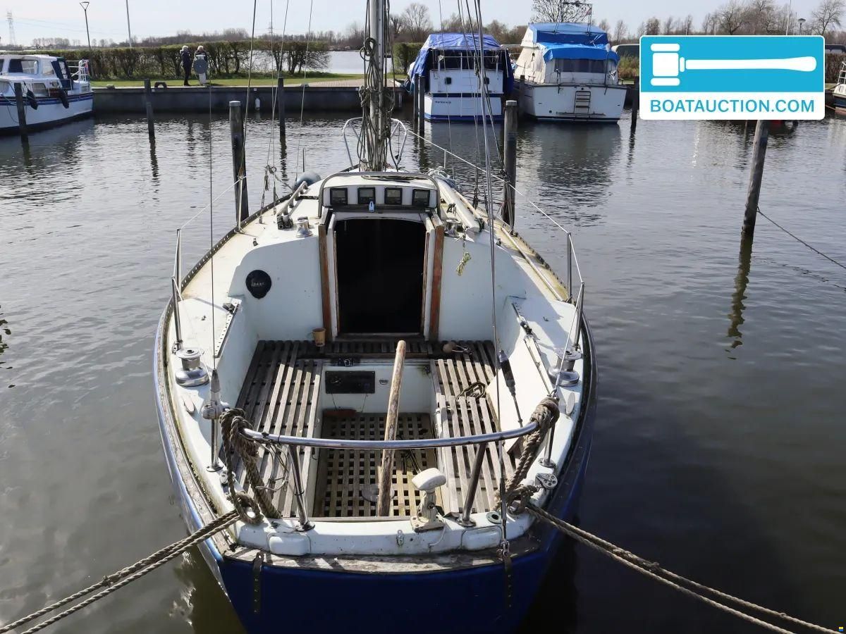 Martin 29