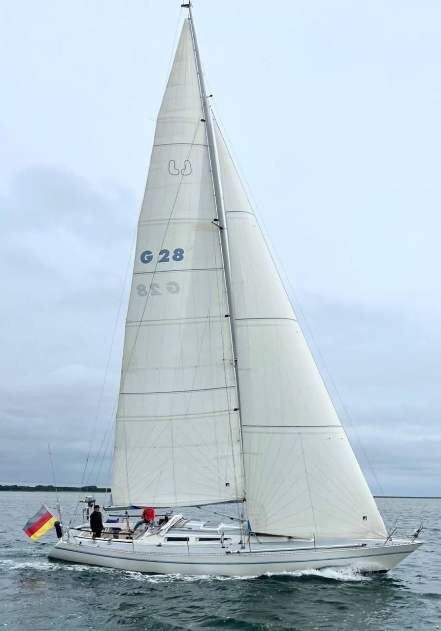Luffe 44
