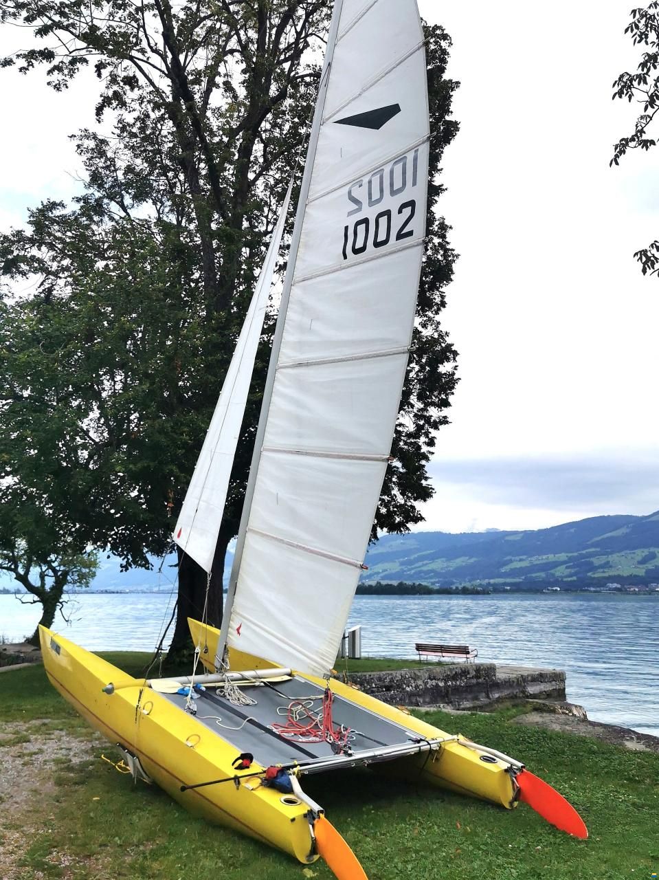 Panther Craft Dart 18