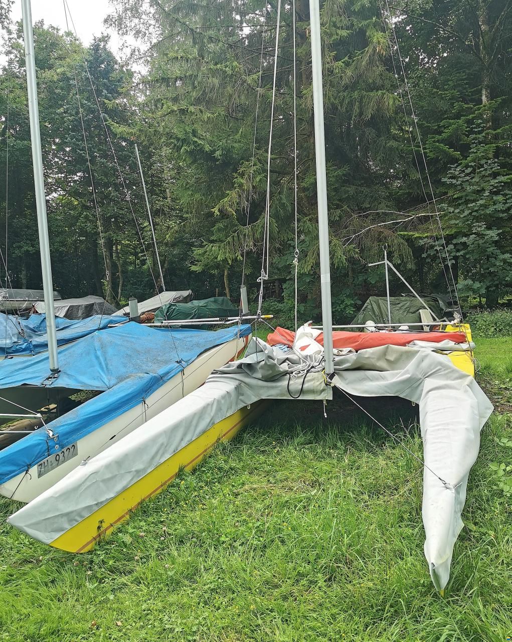 Panther Craft Dart 18
