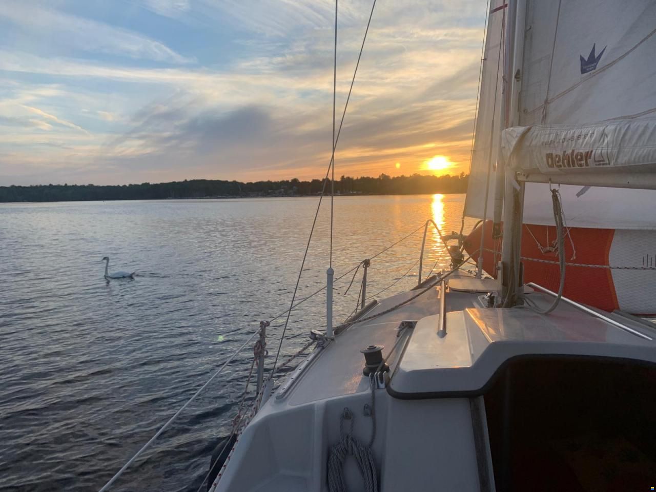 Delanta 76