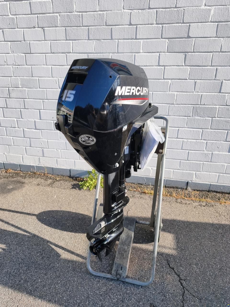 Mercury F 15 ELPT EFI