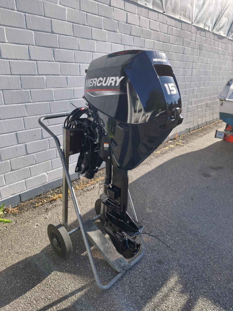 Mercury F 15 ELPT EFI
