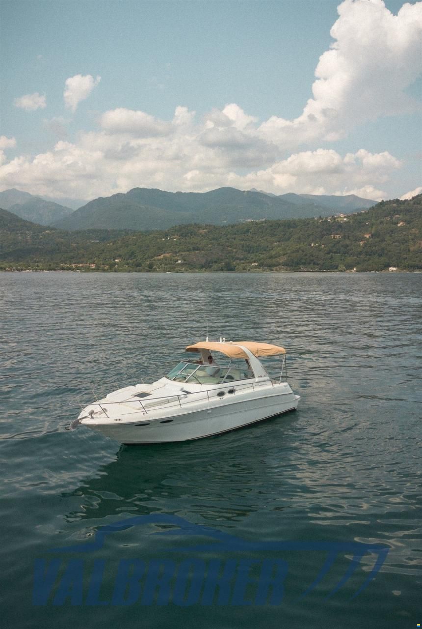 Sea Ray 310 SUNDANCER