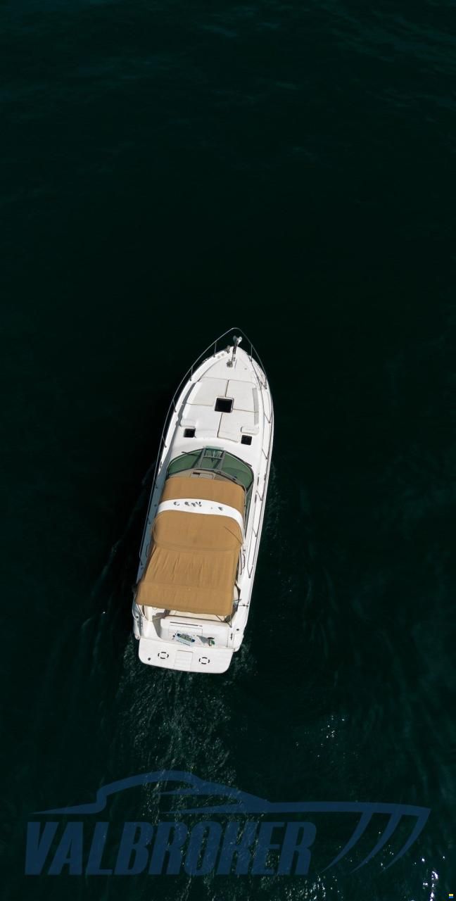Sea Ray 310 SUNDANCER