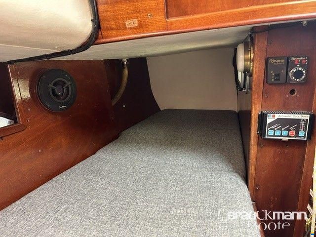 Delphin 66