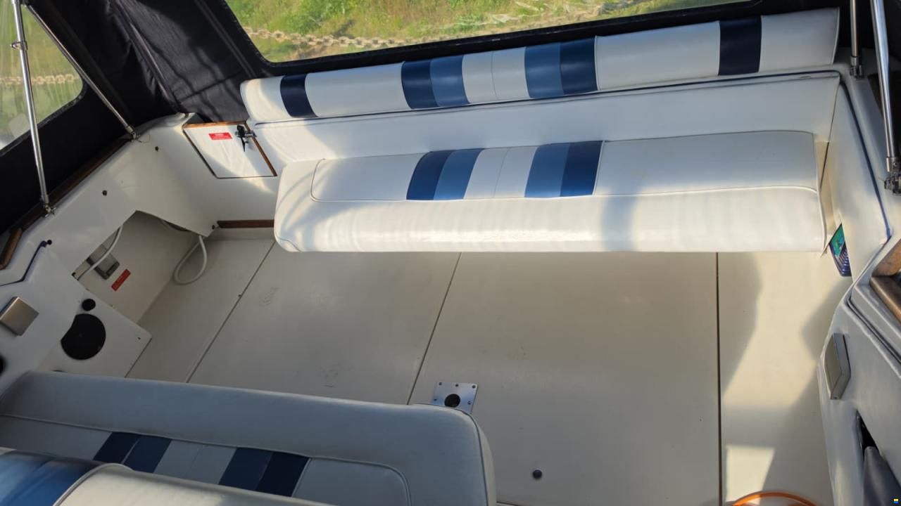 SEARAY SeaRay 310