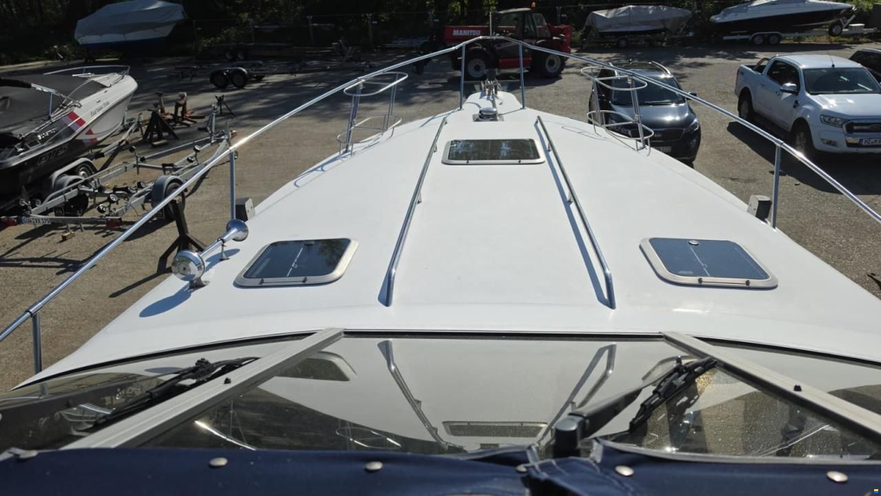 SEARAY SeaRay 310