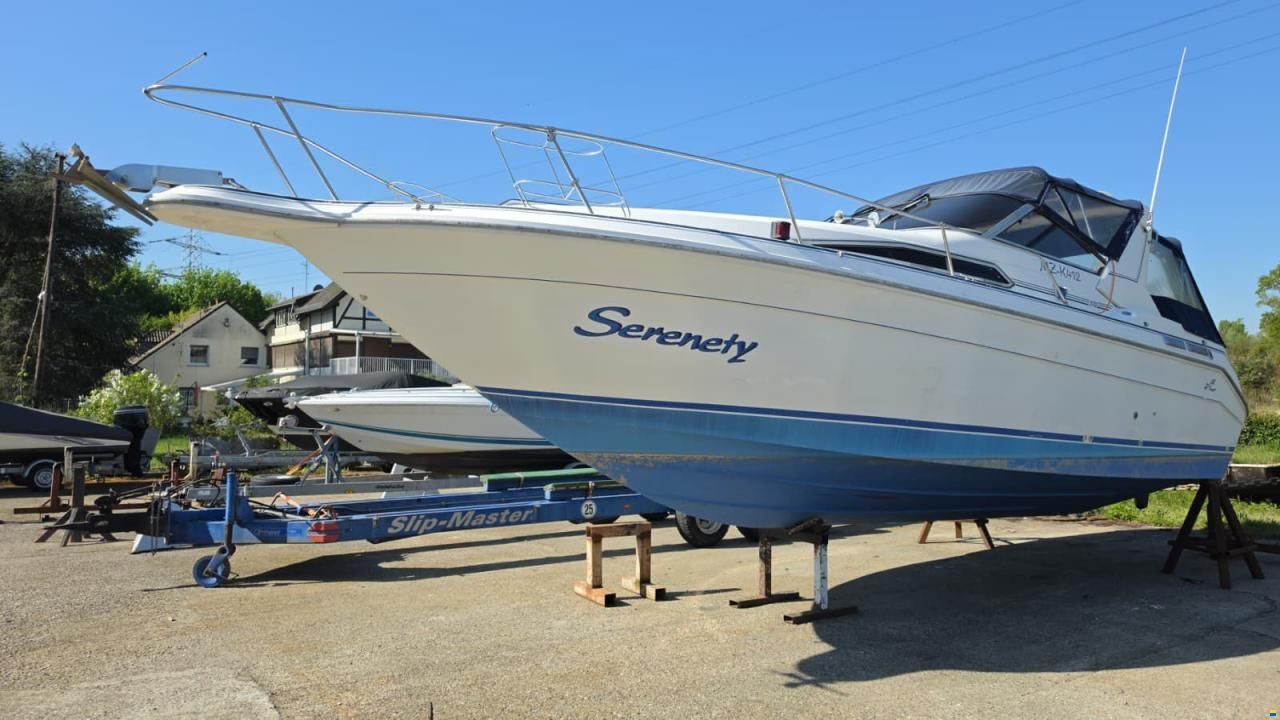SEARAY SeaRay 310