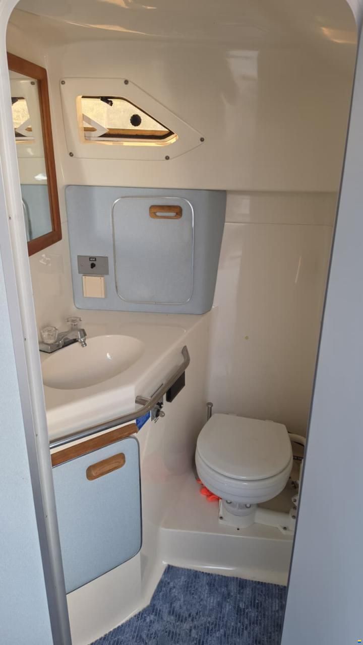 SEARAY SeaRay 310