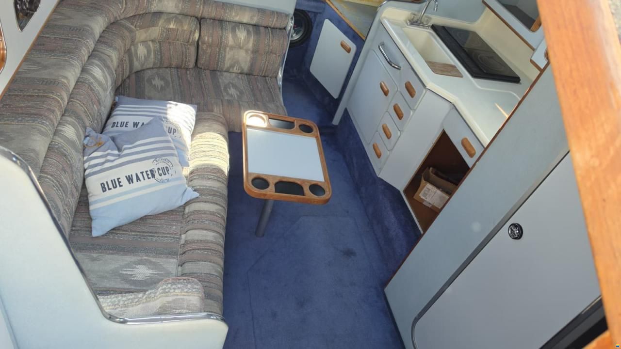 SEARAY SeaRay 310