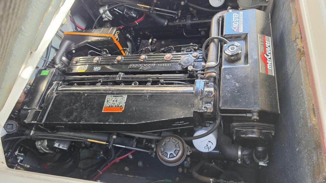 SEARAY SeaRay 310