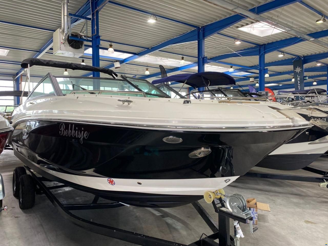 SEARAY SeaRay 250 SDX