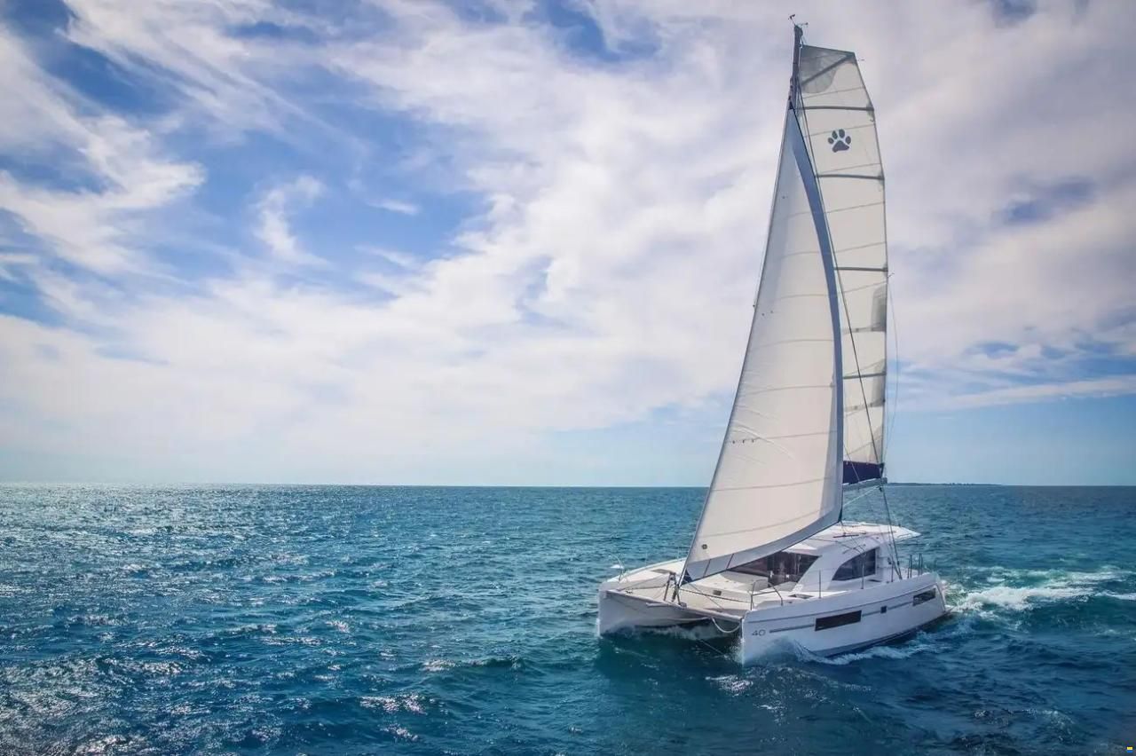 Leopard 40
