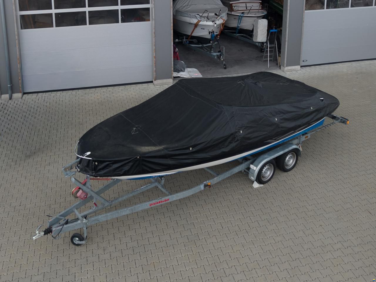 Viper 203 Exclusive