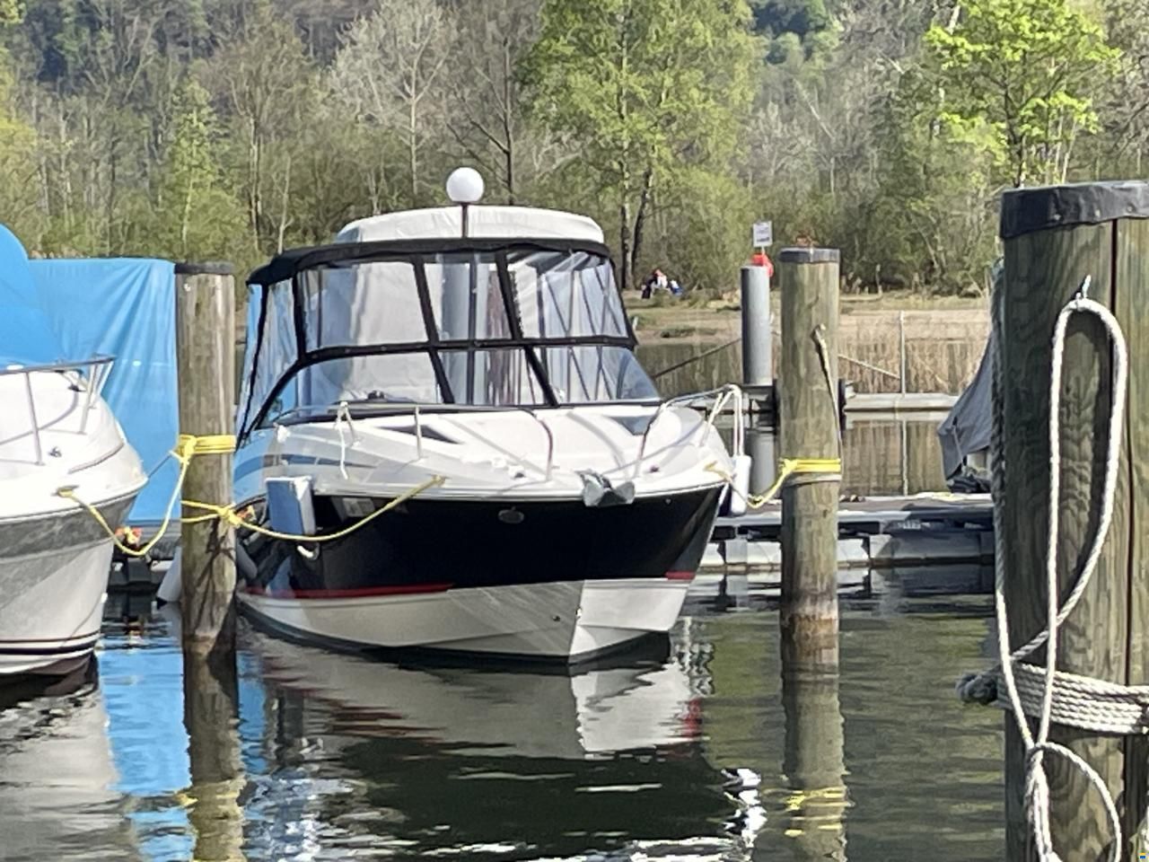 Bayliner 742R