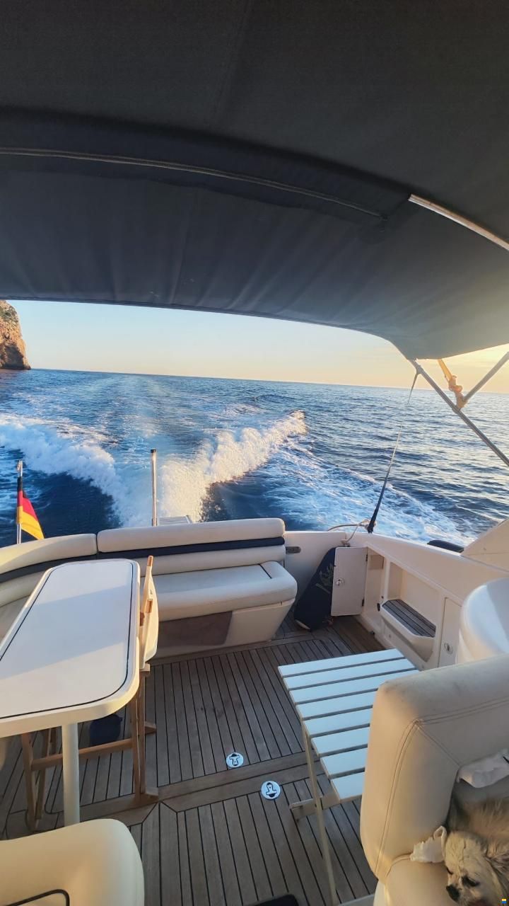 Princess V40