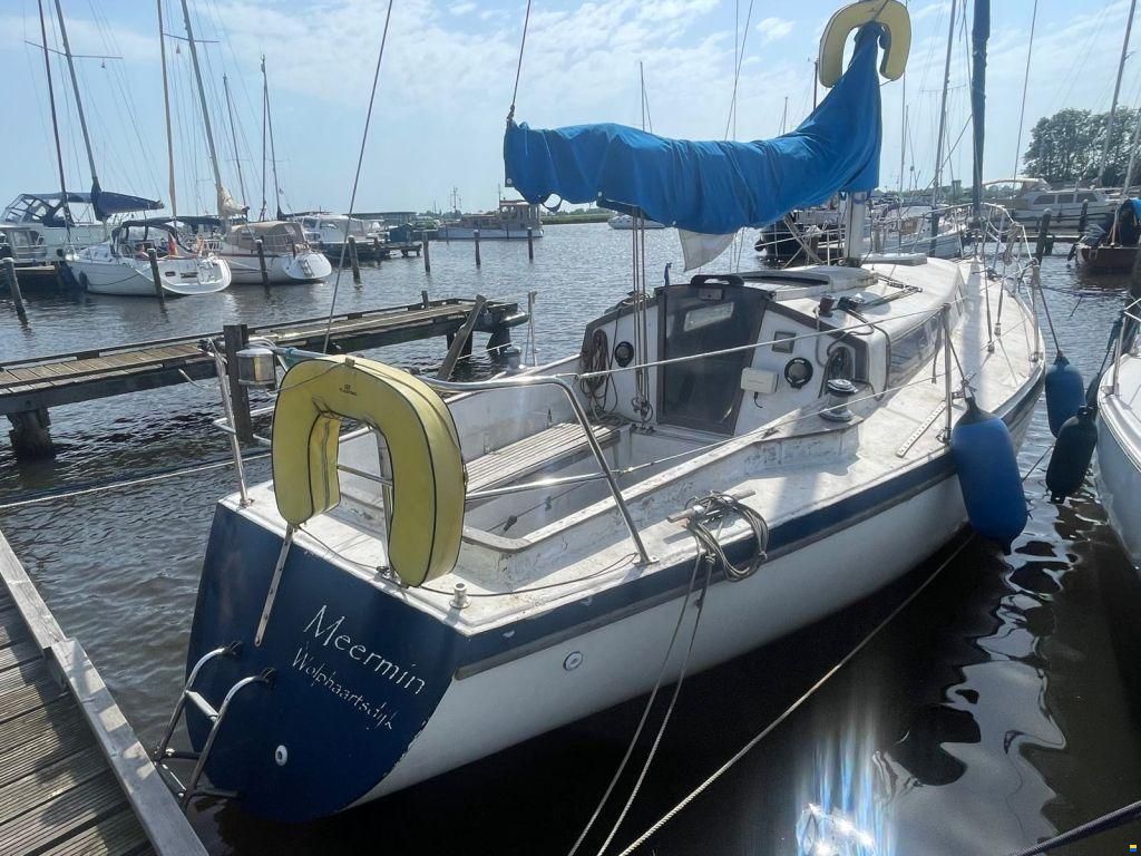Van der Stadt Pioneer